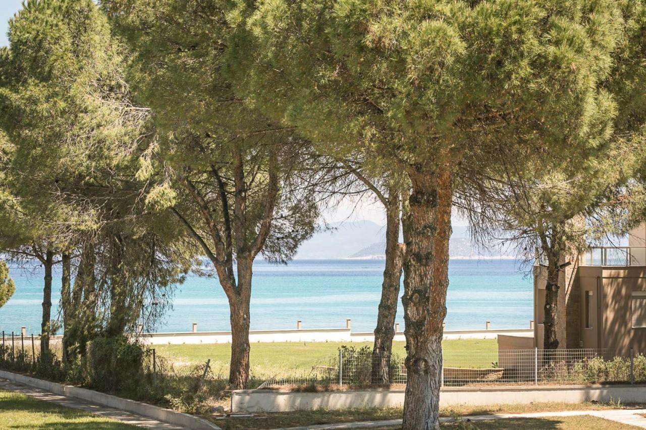#Flh - Amalthia & Αthena Beachfront Houses In Pefkohori Exterior photo